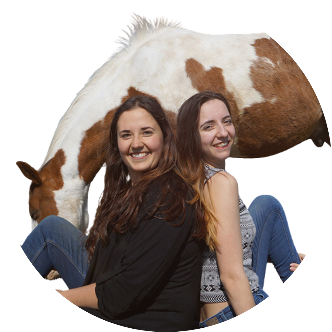 Mindful Horse Academy